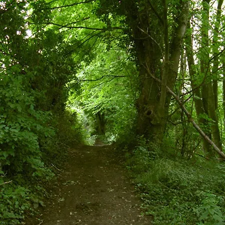 Hoeve Espewey - Leisure Only *