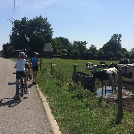 Κατάλυμα σε φάρμα Hoeve Espewey - Leisure Only *