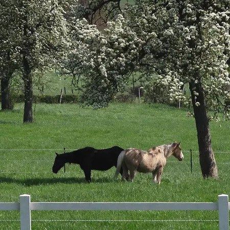 Hoeve Espewey - Leisure Only Hombourg