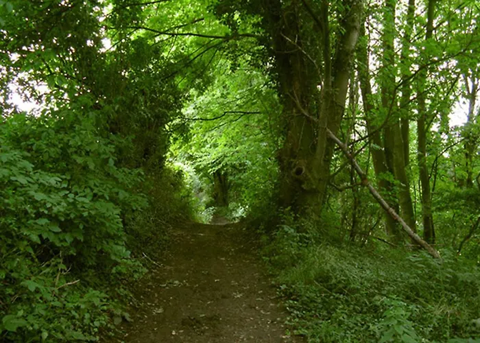 Hoeve Espewey - Leisure Only *