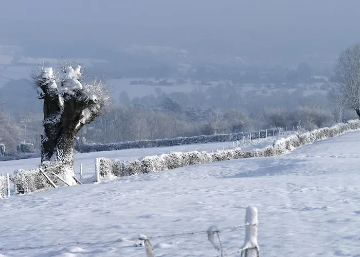 Hoeve Espewey - Leisure Only Alloggio per agriturismo