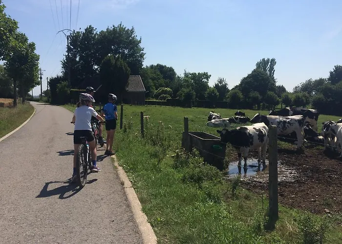 Alloggio per agriturismo Hoeve Espewey - Leisure Only *