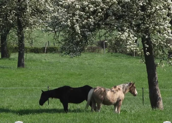 Hoeve Espewey - Leisure Only Hombourg